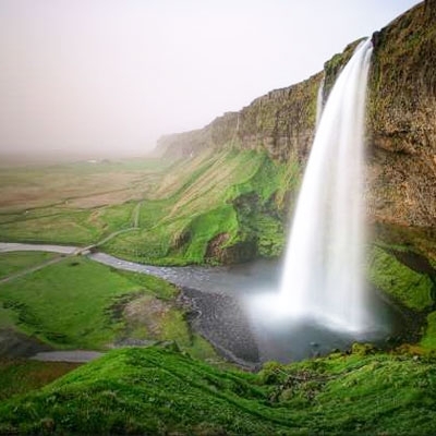 مُخرج أمام الكاميرا