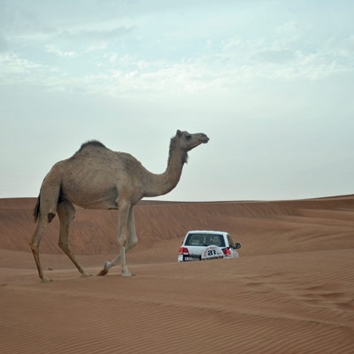 دبي إمارة الإجازات...