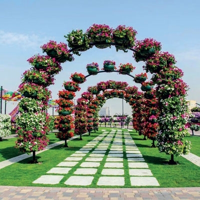 'دبي ميراكل جاردن' 45 مليون زهرة 