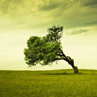 حقائب المنسيين