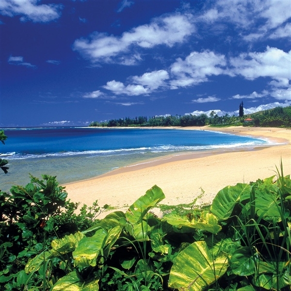 بنما في حضن الأميركيتين...