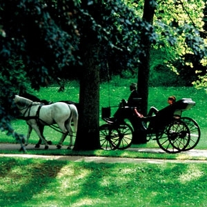 بادن-بادن المدينة الألمانية