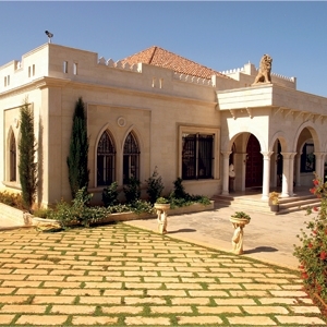 قصر الدكتور علي شريم