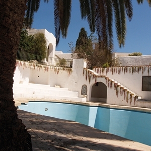 قصر آل تركي في سيدي بوسعيد