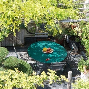 حدائق برية فوق شرفات باريسية 