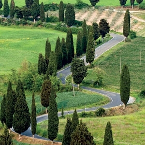 فلورنسا... مهد النهضة الإيطالية والأوروبية