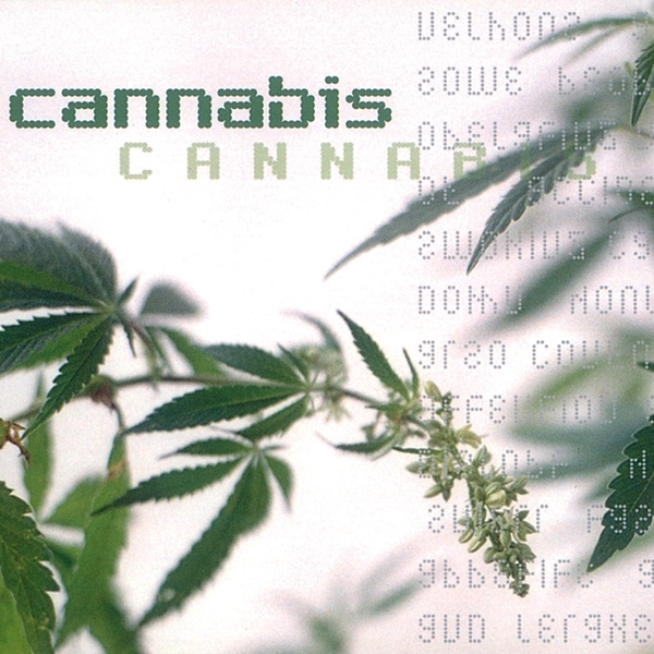 تأثير المخدرات على جسم الإنسان