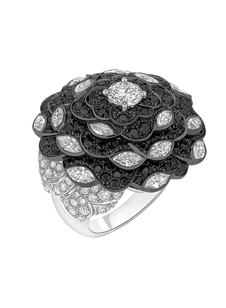 الأسود الملك: خاتم من Chanel