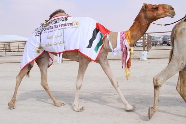 هل تعرفون ملكة جمال الجمال في الإمارات... أبوها جبار وأمها بنت غثيوان