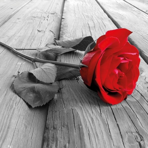 لماذا لم نقع بعد في الحُبّ؟