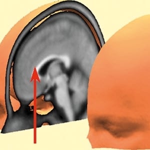 الحاسة السادسة في شهادات مَنْ اختبروها