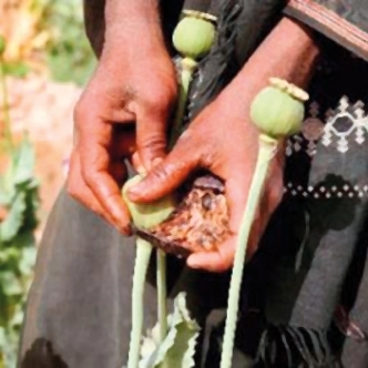 تقليد البرامج التلفزيونية