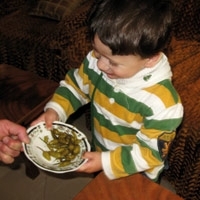 طفل فلسطيني يأكل الفلفل الحار بشراهة...