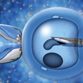 أطفال من خلايا جلد الرجال ونخاع النساء