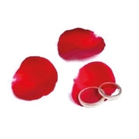 لماذا لم نقع بعد في الحُبّ؟