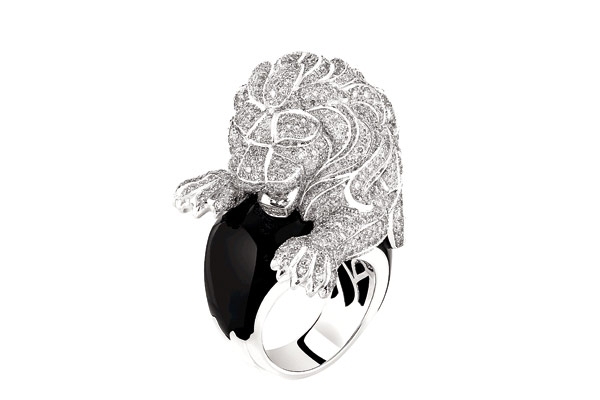 أناقة مفترسة