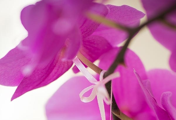 الأسبوع الرابع والعشرون: لحظات حلوة وقليل من الاضطراب