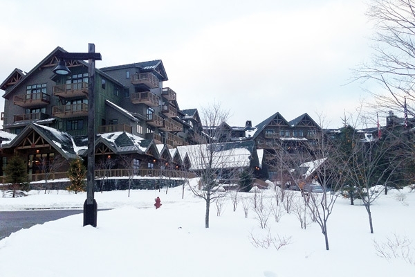 ستو فيرمونت في أميركا