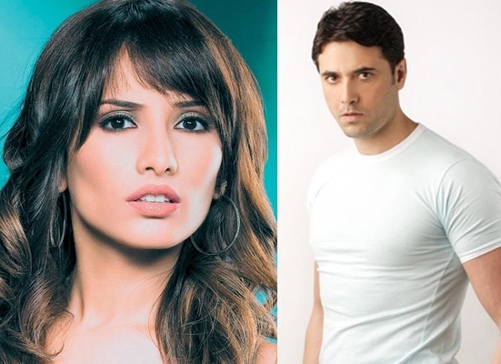 هل يحق لزينة إجبار أحمد عز على تحليل الـD.N.A للاعتراف بالتوأمين؟