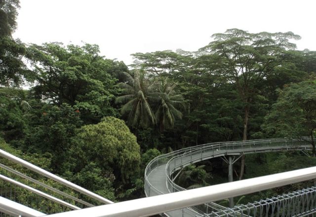 جسر ساوذرن ريدجز The Southern Ridges