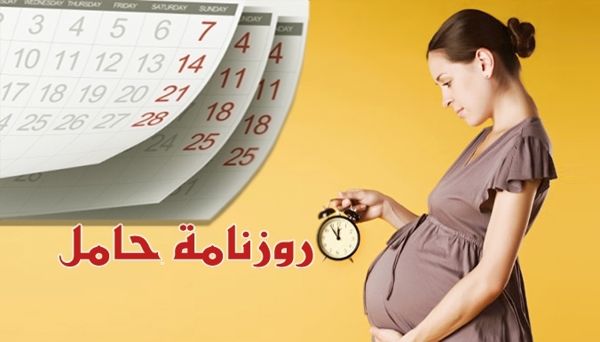 حملك خطوة بخطوة...