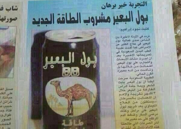 بول البعير... للشرب!!