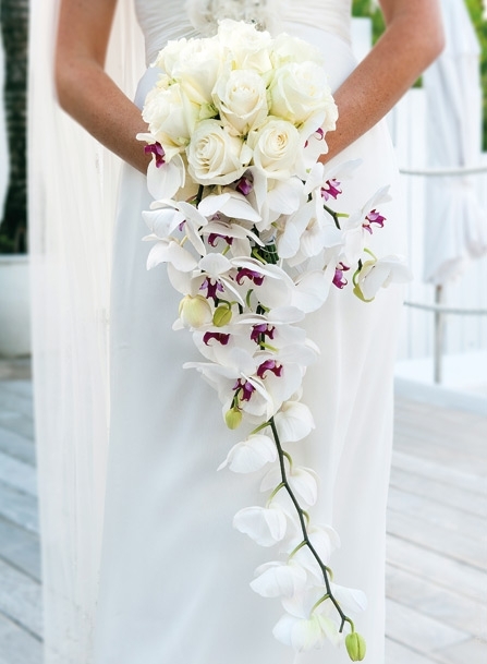 تصميم لباقة عصرية  تلبس حلة النقاء