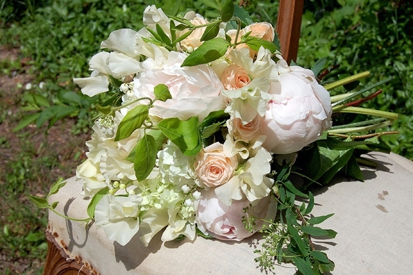 تناسق مدهش بين أنواع مختلفة من الورد