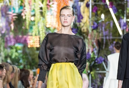 طنين النحل رنين الذهب... Bee my Honey!