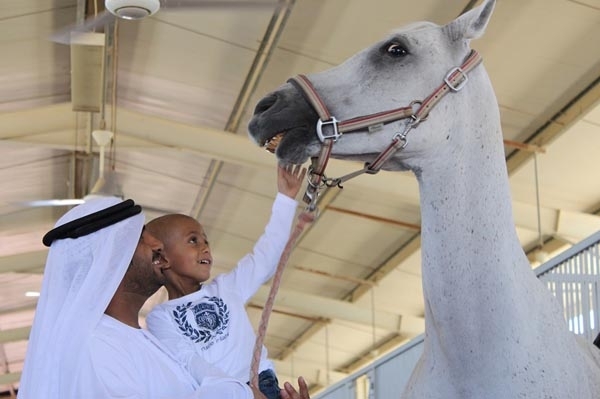 جواد عربي أصيل للطفل خالد المصاب بالسرطان
