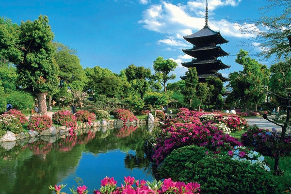 مشاهدات من طوكيو وكيوتو