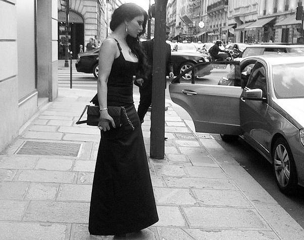 هيفاء وهبي في باريس لكن قلبها في مصر