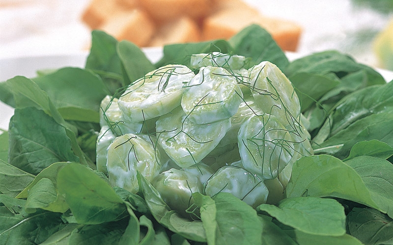 سلطة الخيار والشبث