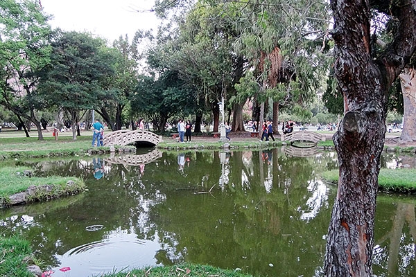 بورتو أليغري Porto Algere 