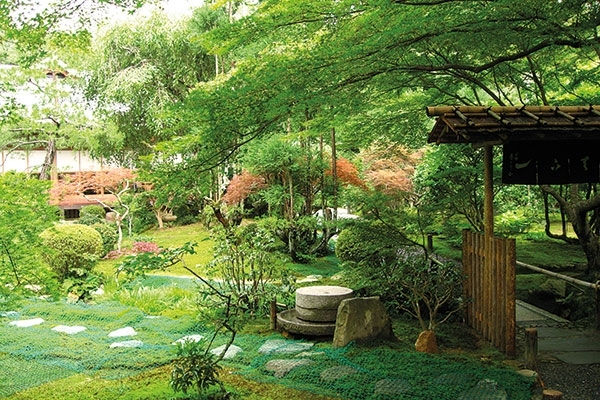 ريوان- جي Ryoan-ji في كيوتو اليابان 