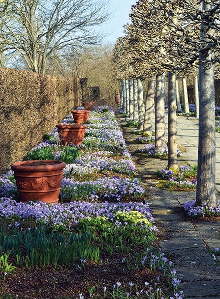 حدائق قصر سيسنغورست Sissinghurst في بريطانيا