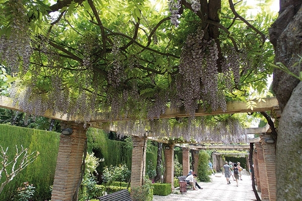 حدائق العريف Generalife في غرناطة اسبانيا