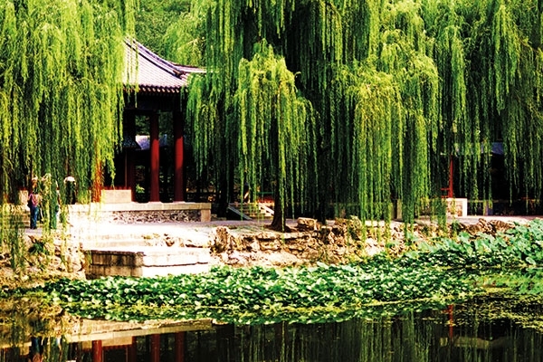 حدائق قصر الصيف في بيكين