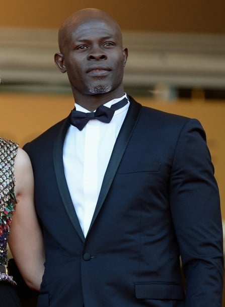 Djimon Hounsou Djimon Hounsou