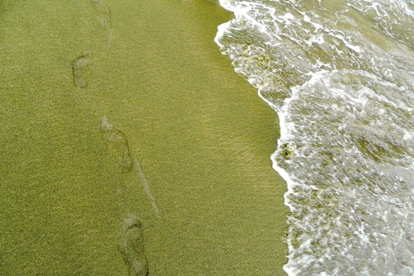 بيريسا سانتوريني في اليونان