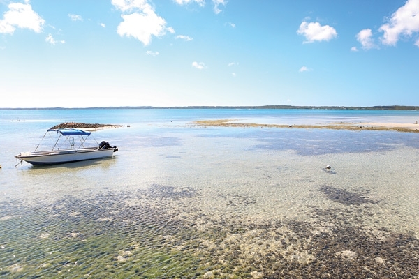 جزيرة هاربور في الباهامس