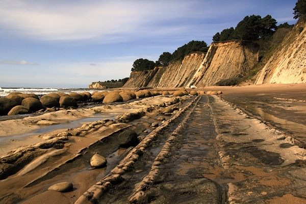 بولينغ شاطئ بول في كاليفورنيا 