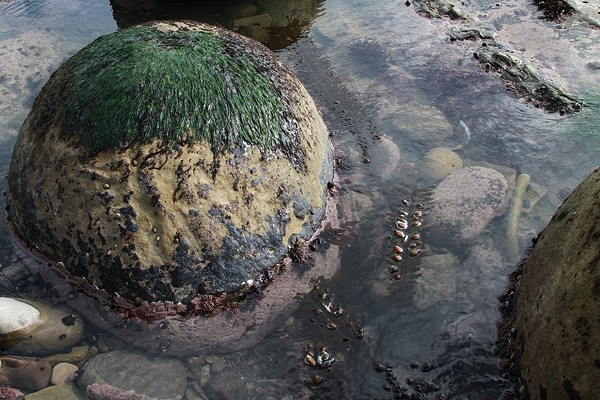 شاطئ الزجاج في كاليفورنيا 