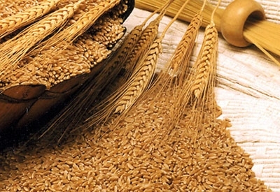 نعم للحبوب الكاملة بعد الأربعين!