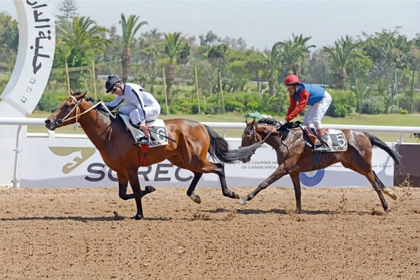 'الخالدية' تحقق كأسي الأمير رشيد وفرنسا لسباق السرعة