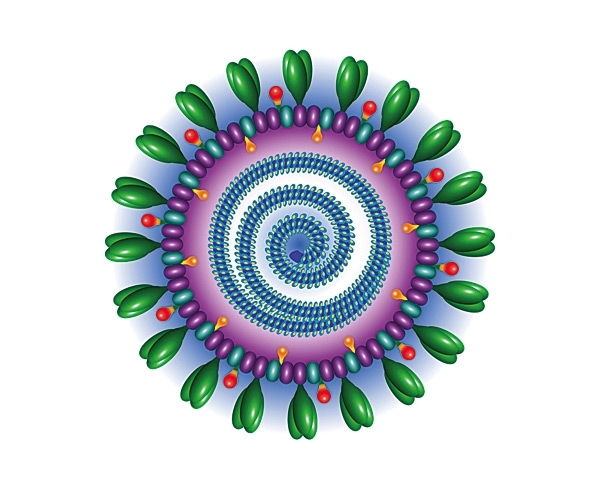 فيروس كورونا يثير الذعر بين السعوديين