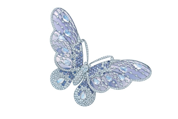 Ribbon & Butterfly فراشة لن تطير وعقدة لن تحل...