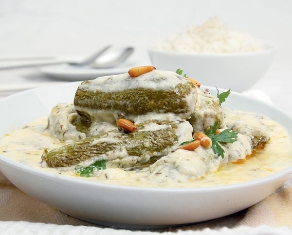 <strong  dir='ltr'>خاص للحمية</strong> - وصفة الكوسى باللبن 