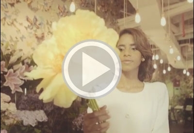 زهور تعبق بالأحلام