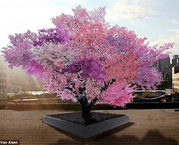 شجرة سحرية تثمر 40 صنفاً مختلفاً من الفاكهة!